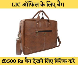LIC Office Bag